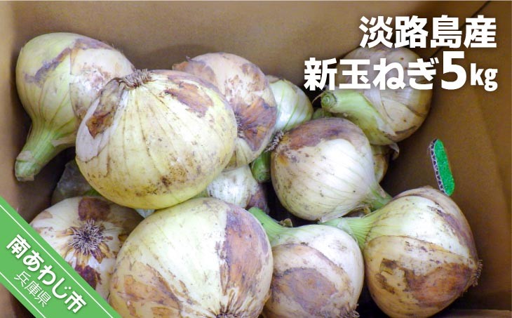 淡路島産　新玉ねぎ5㎏