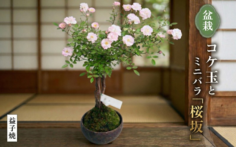 ※画像はイメージです。