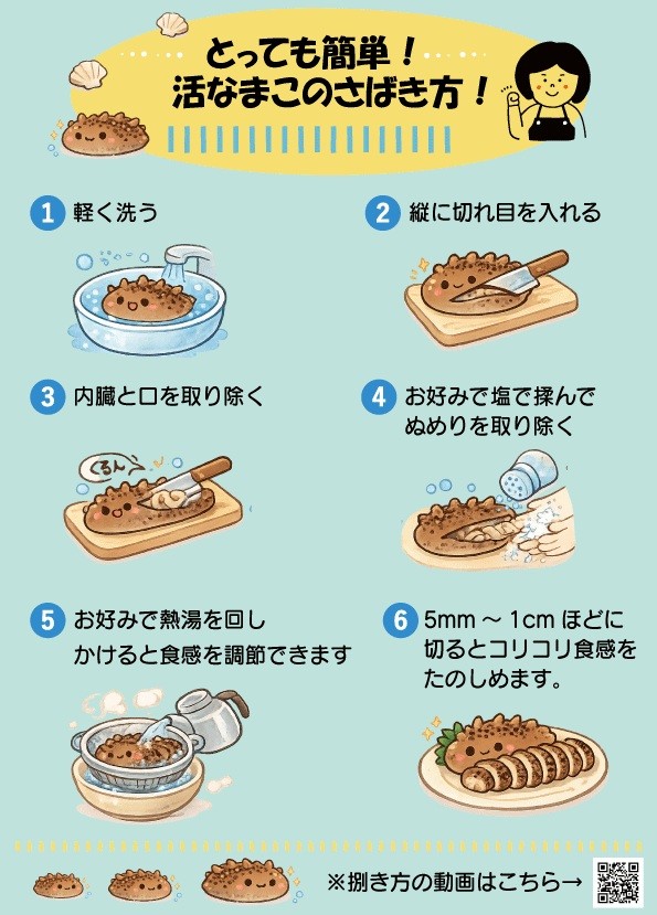 なまこの捌き方