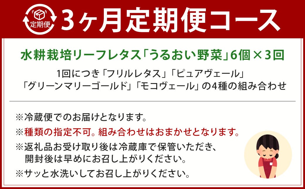 【定期1ヶ月毎3回】水耕栽培 リーフレタス「うるおい野菜」6個セット