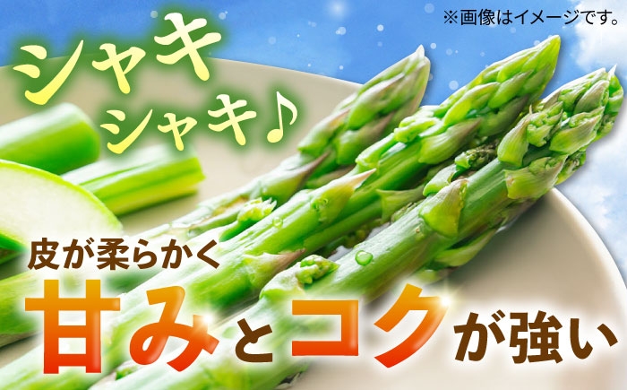 野菜 アスパラ Lサイズ 新鮮 美味しい おいしい 食べ応え