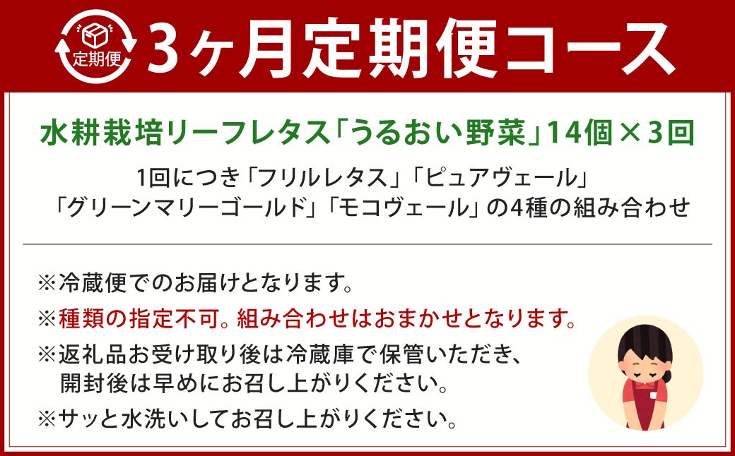 【定期1ヶ月毎3回】水耕栽培 リーフレタス「うるおい野菜」14個セット
