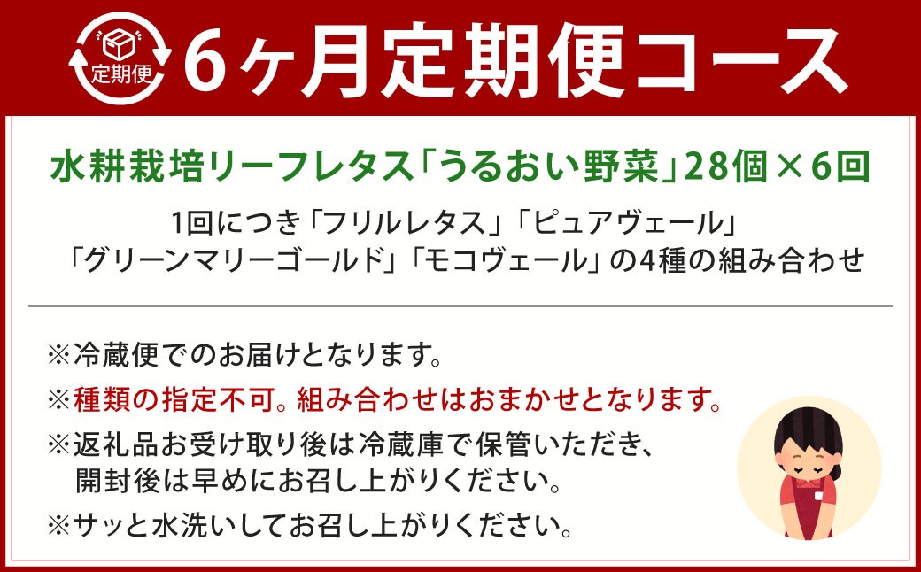 【定期1ヶ月毎6回】水耕栽培 リーフレタス「うるおい野菜」28個セット