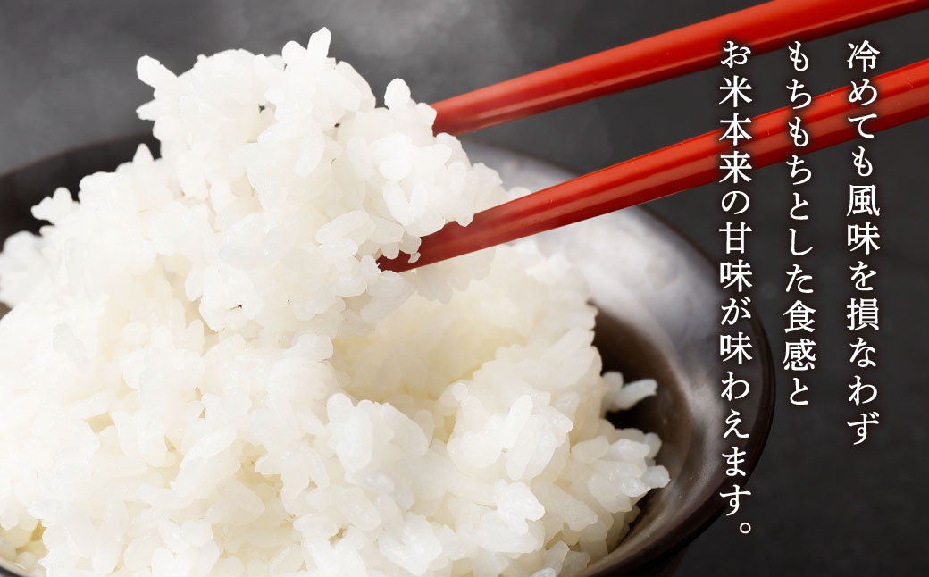 くまもとのブランド米 くまさんの輝き 10kg（5kg×2個）×全3回