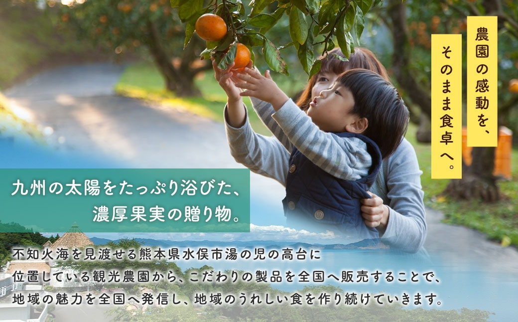 福田農場バラエティセット