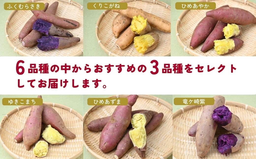 さつまいも サツマイモ さつま芋 焼き芋 食べ比べ 5kg セット ふくむらさき くりこがね ひめあやか ゆきこまち ひめあずま