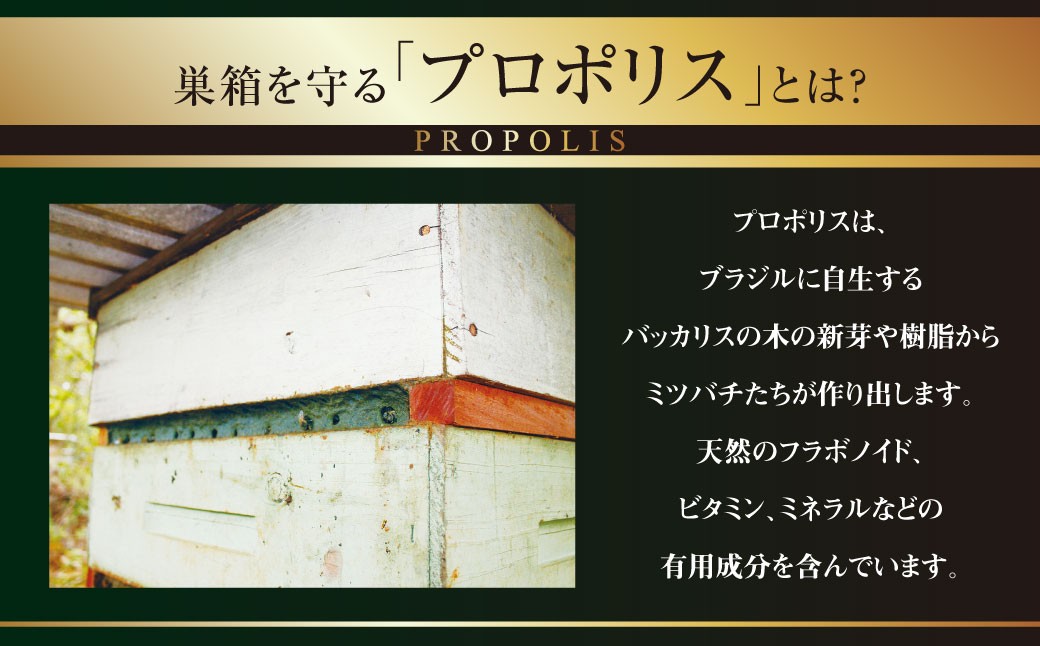 杉養蜂園 プロポリス入り マヌカ蜜 500g はちみつ 蜂蜜