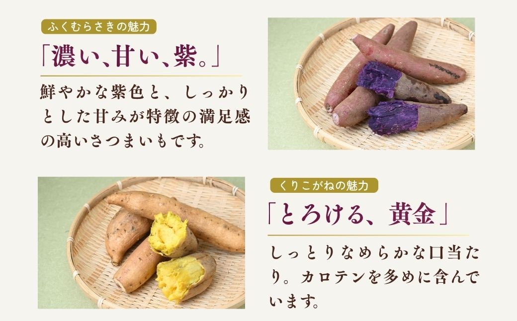 さつまいも サツマイモ さつま芋 焼き芋 食べ比べ 5kg セット ふくむらさき くりこがね ひめあやか ゆきこまち ひめあずま