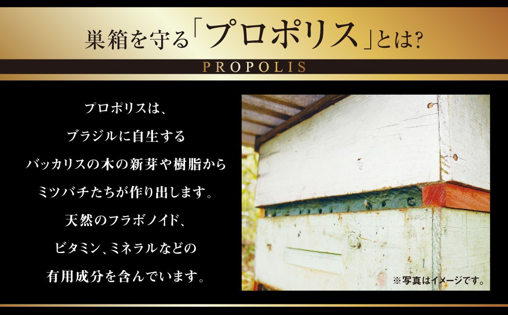 杉養蜂園 ローヤルゼリー＆プロポリス入り マヌカ蜜 500g 蜂蜜 はちみつ