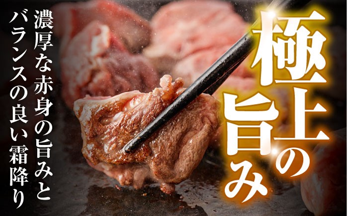 牛肉 ぎゅうにく 和牛 肉 にく 牛 ヒレ ヒレステーキ サイコロステーキ ステーキ ひれ フィレ ヘレ さいころ すてーき
