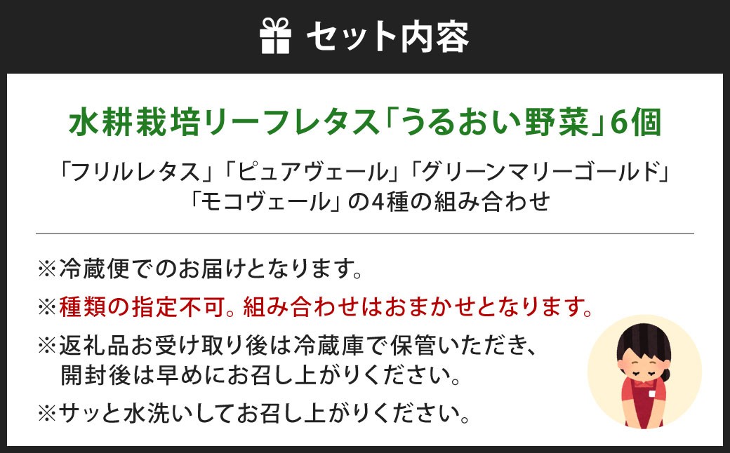 水耕栽培 リーフレタス「うるおい野菜」6個セット