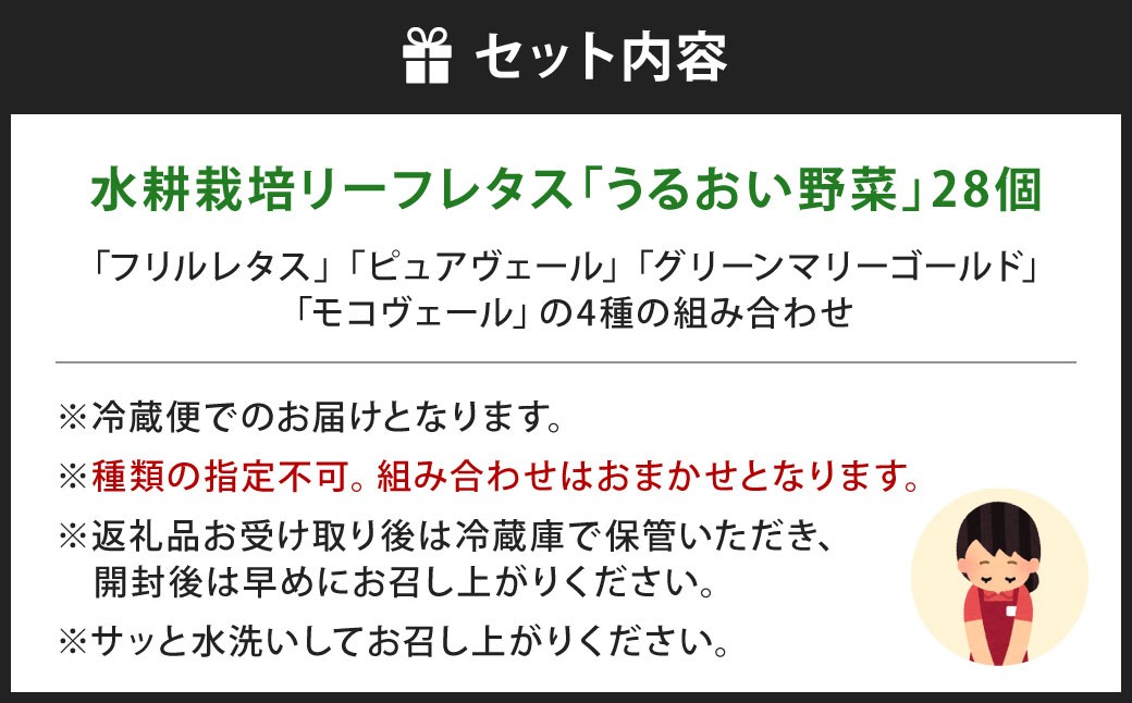 水耕栽培 リーフレタス「うるおい野菜」28個セット