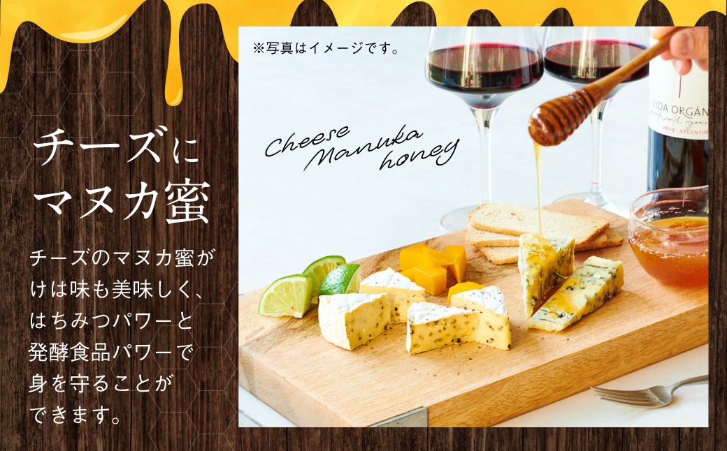 【6ヶ月定期便】 杉養蜂園 ニュージーランド産マヌカ蜜 500g×6ヶ月 はちみつ 蜂蜜