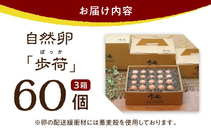 安全性に特化した放し飼い自然卵を産まれた当日に生産農場からお届けします。