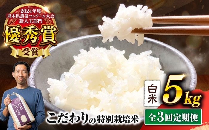 くまさんの輝き 白米 5kg 計15kg 米 お米