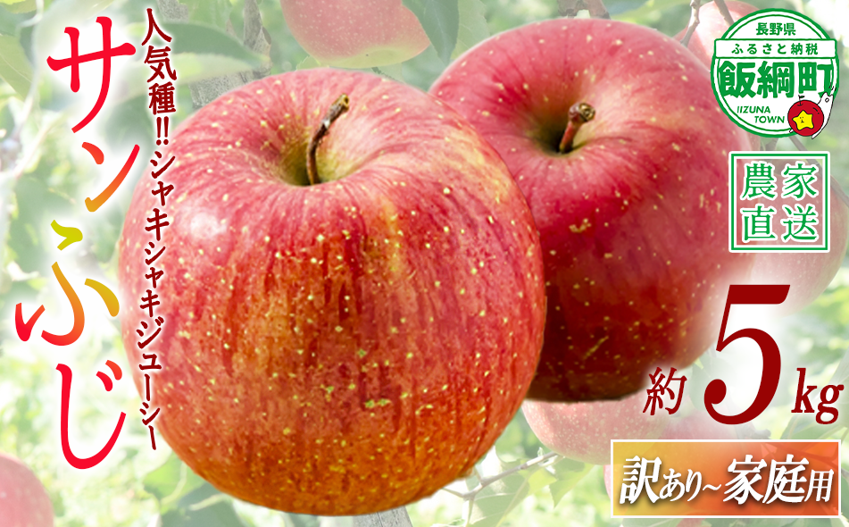 りんご農家応援企画！農家直送！サンふじ 5kg