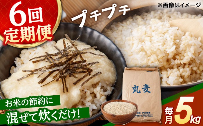 麦 むぎ 大麦 雑穀 雑穀米 麦ごはん ごはん 食物繊維 長崎県産 5キロ 定期便