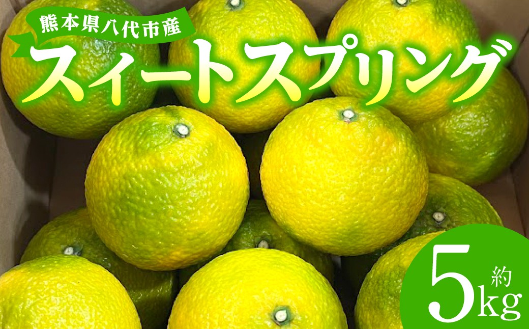 スイートスプリング 約5kg