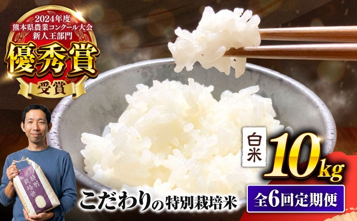 【全6回定期便】 くまさんの輝き 白米 10kg 計60kg