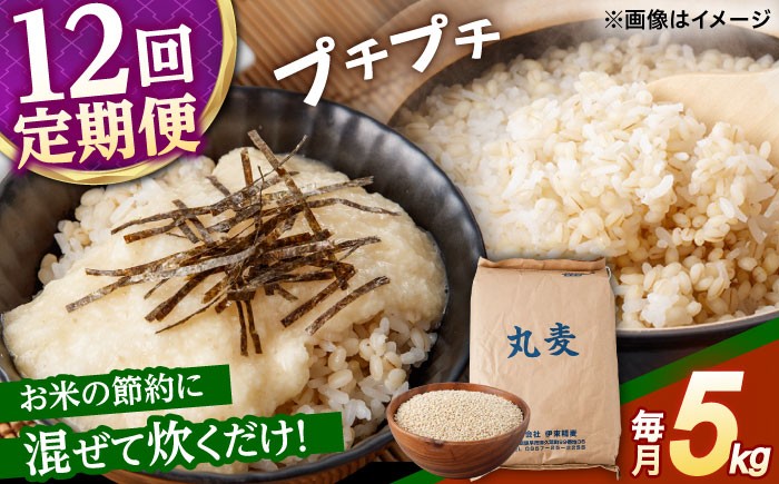 麦 むぎ 大麦 雑穀 雑穀米 麦ごはん ごはん 食物繊維 長崎県産 5キロ 定期便