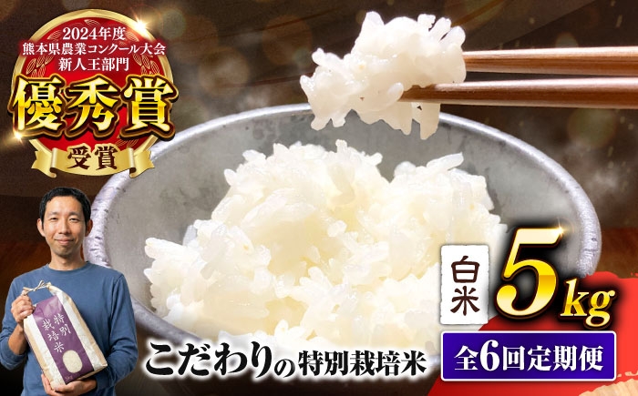 くまさんの輝き 白米 5kg (1袋) 米 お米 白米 ライス こめ お米 5キロ
