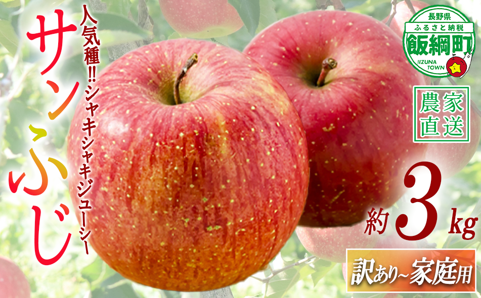りんご農家応援企画！農家直送！サンふじ 3kg（8~13玉）