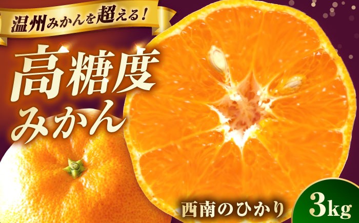柑橘 果物 フルーツ みかん ミカン ご家庭用 長与町 長崎県 国産 九州 産地直送 旬 甘い 濃厚 希少