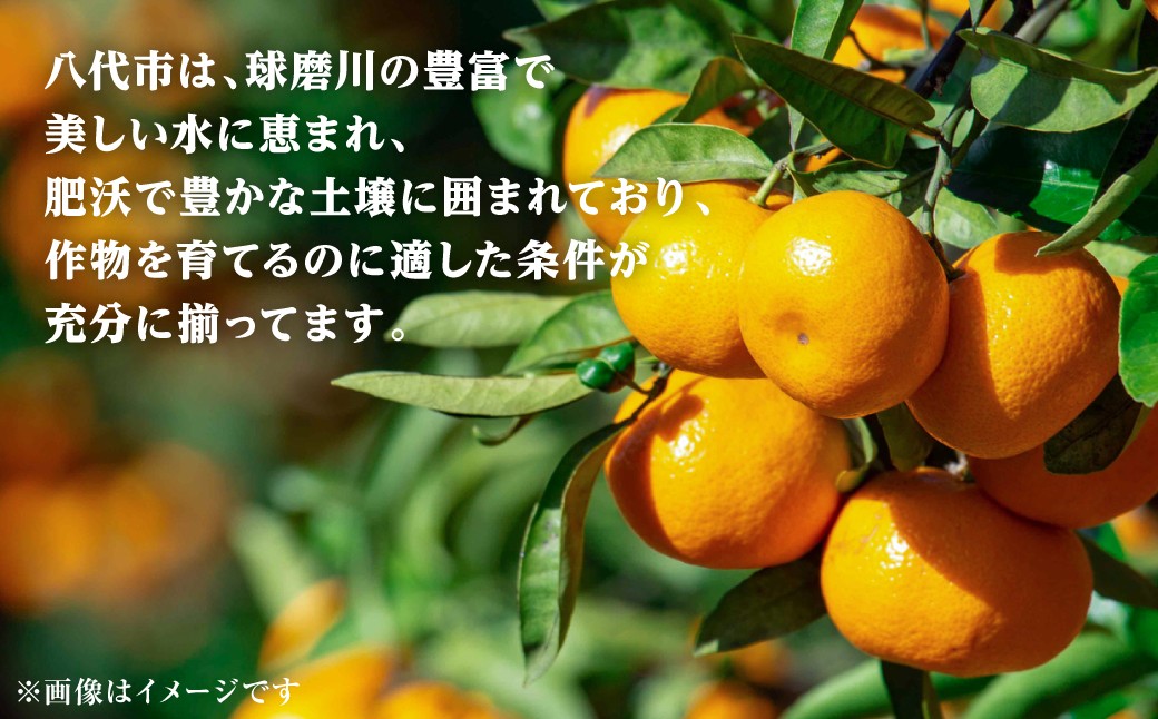 八代市は、作物を育てるのに適した条件が充分に揃ってます。
