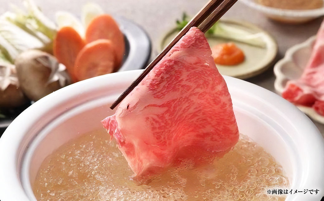 【定期便6回】神戸牛霜降り ロース しゃぶしゃぶ すき焼き 600g×1パック