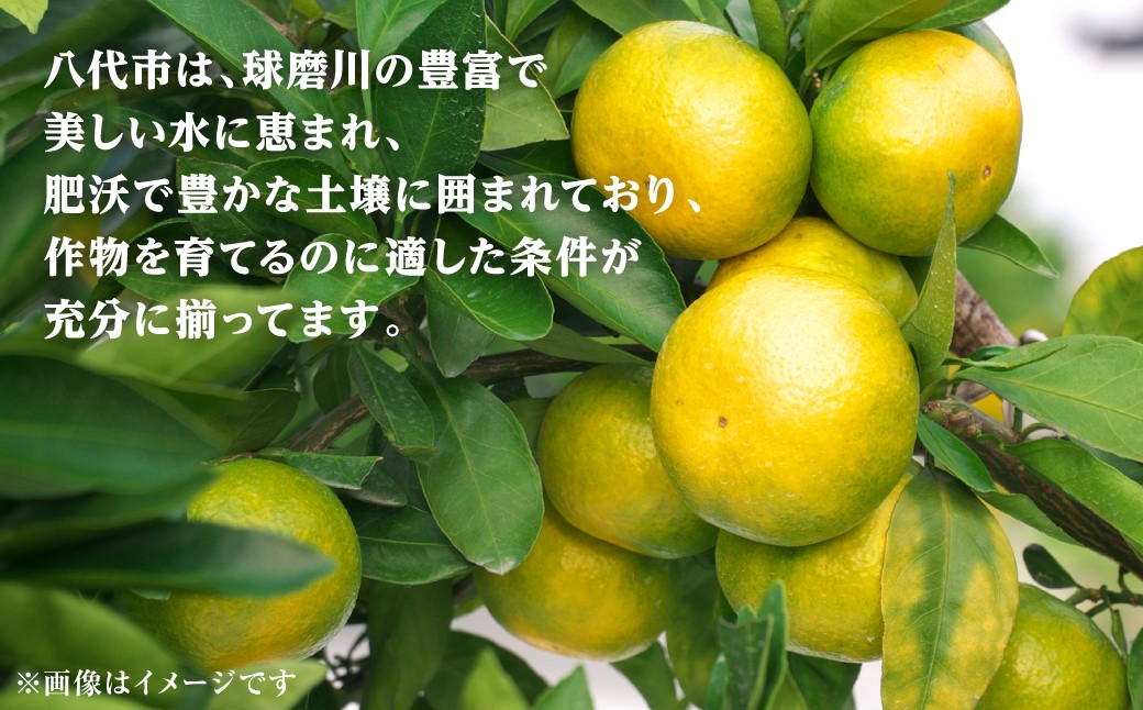 八代市は、作物を育てるのに適した条件が充分に揃ってます。
