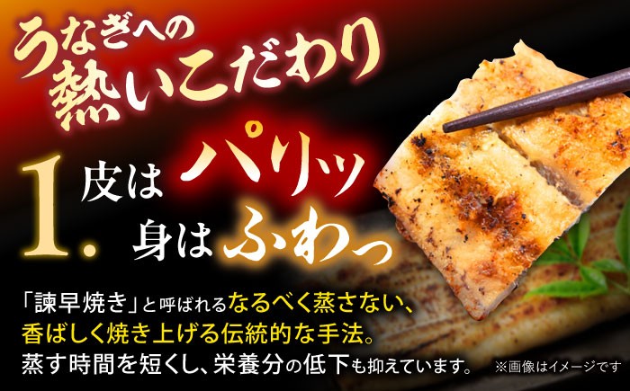 うなぎ ウナギ 鰻 蒲焼き 蒲焼 かばやき 白焼き 白焼 国産 冷凍 小分け うな重 うな丼 ひつまぶし