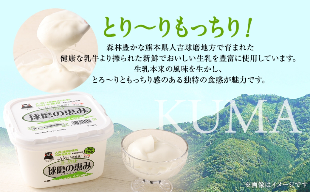 球磨の恵みヨーグルト 砂糖不使用タイプ