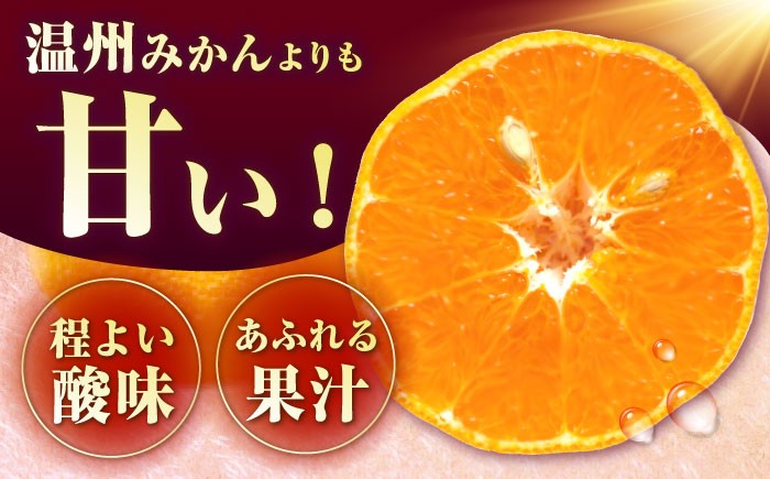 柑橘 果物 フルーツ みかん ミカン ご家庭用 長与町 長崎県 国産 九州 産地直送 旬 甘い 濃厚 希少