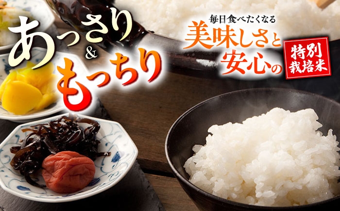 【全6回定期便】 くまさんの輝き 白米 10kg 計60kg