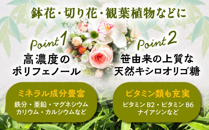 植物 観葉植物 鉢花 切り花 種まき 植え付け 足寄町 北海道  