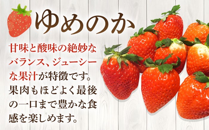 セット いちご イチゴ 苺 果物 フルーツ スムージー