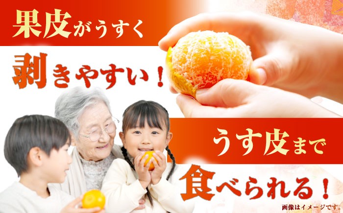 柑橘 果物 フルーツ みかん ミカン ご家庭用 長与町 長崎県 国産 九州 産地直送 旬 甘い 濃厚 希少