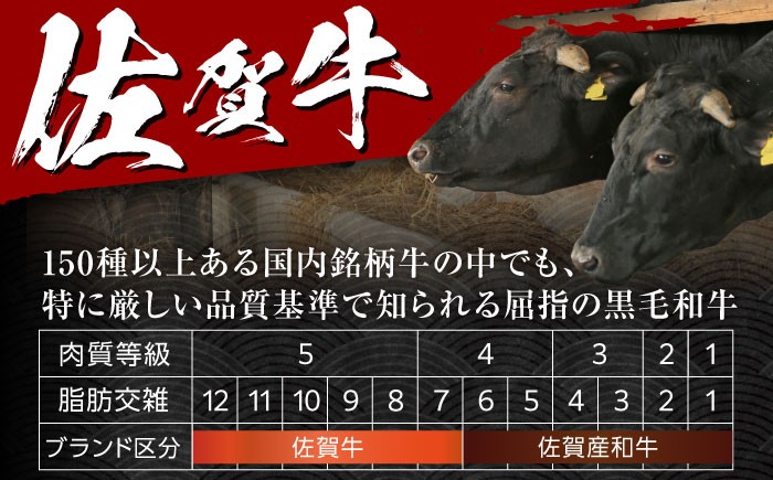 佐賀牛 黒毛和牛 和牛 肩ロース 熟成 佐賀県産 すき焼き しゃぶしゃぶ