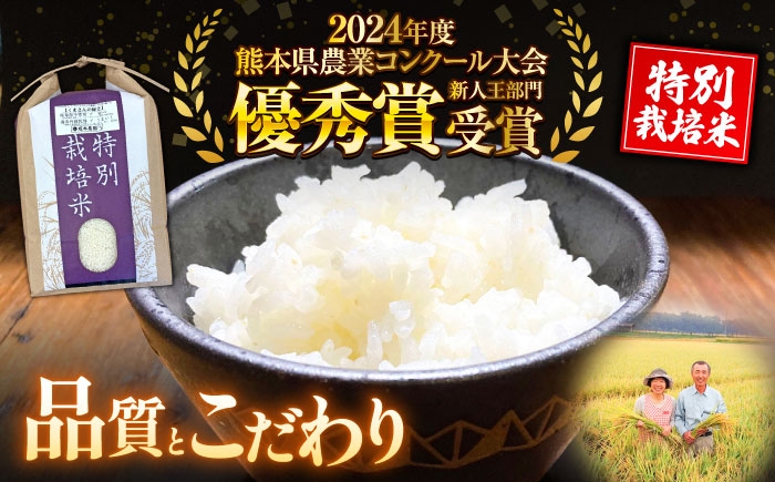 【全6回定期便】 くまさんの輝き 白米 10kg 計60kg