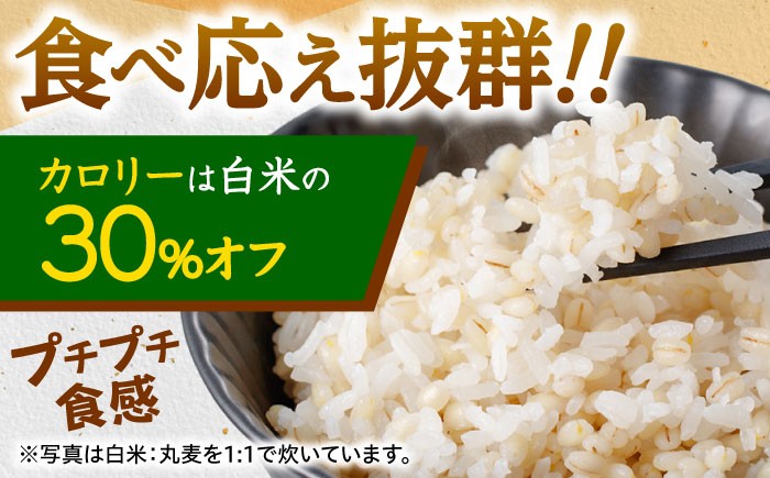 麦 むぎ 大麦 雑穀 雑穀米 麦ごはん ごはん 食物繊維 長崎県産 5キロ 定期便