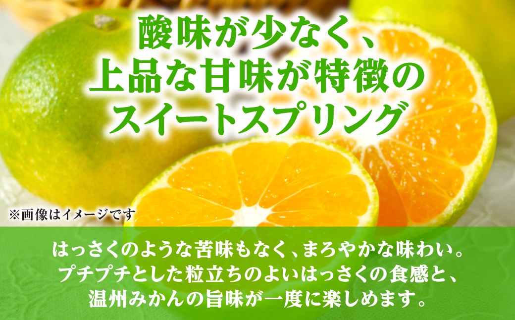 酸味が少なく、上品な甘みが特徴のスイートスプリングです。