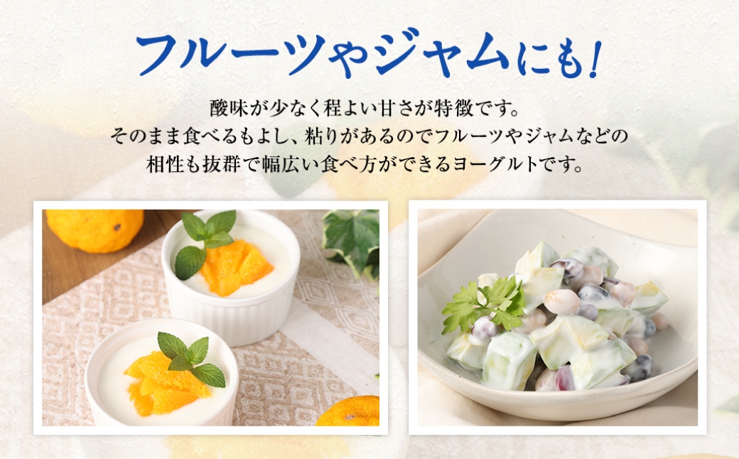 球磨の恵みヨーグルト 加糖タイプ