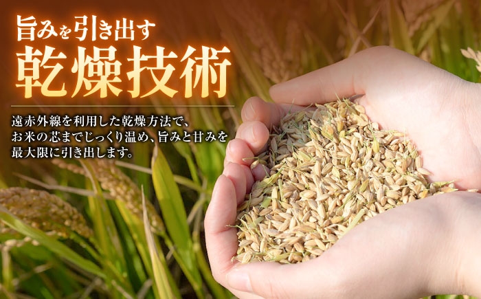 くまさんの輝き 白米 5kg 計15kg 米 お米