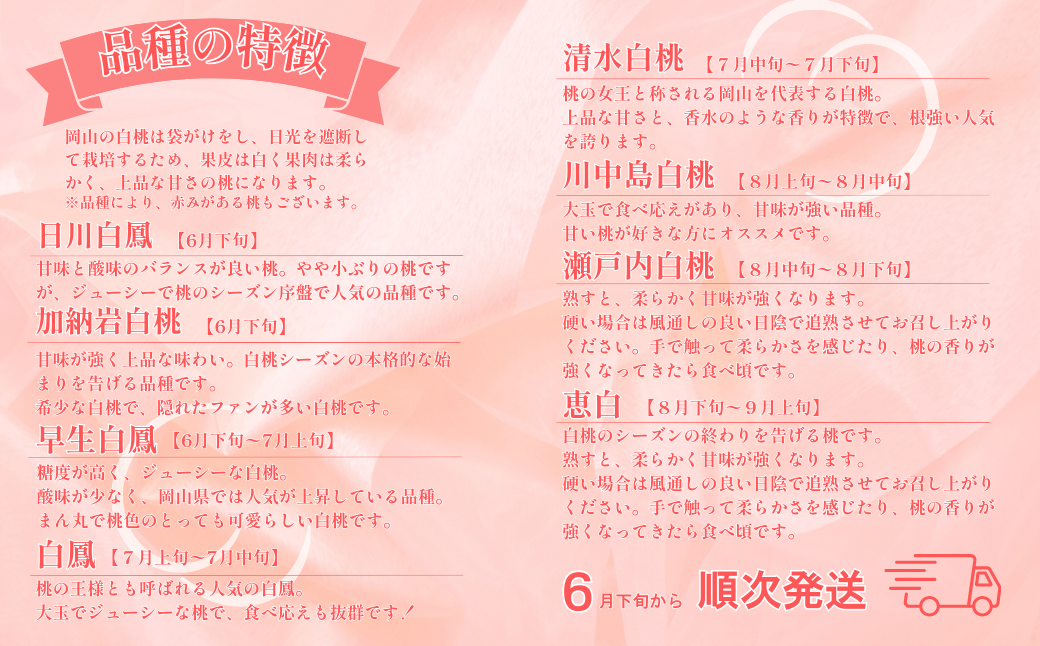 【ご家庭用】 岡山白桃 5～7玉（約1.5kg以上）