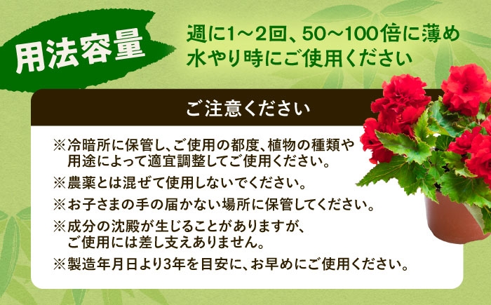 植物 観葉植物 鉢花 切り花 種まき 植え付け 足寄町 北海道  
