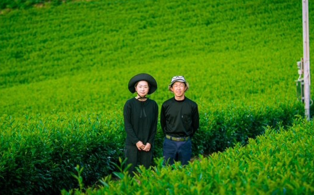八女茶Rooji＋煎茶ティーバッグ×3個