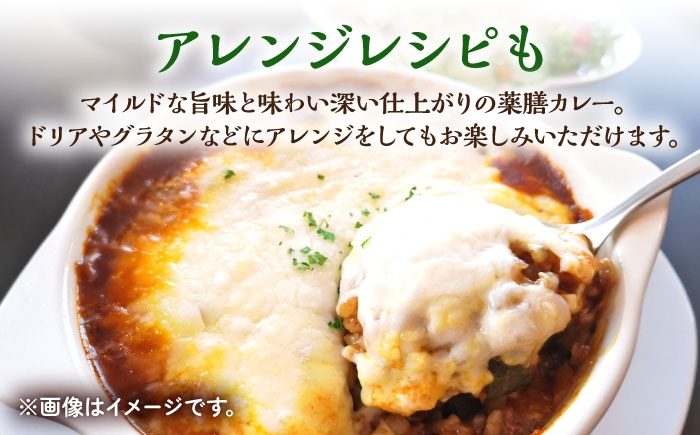 【6回定期便】薬膳スパイスビーフカレー 4食（200g×4） /自然庵 [UCQ008] カレー レトルトカレー 牛肉 牛 ビー