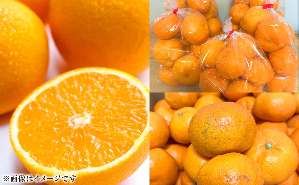 形不揃いやキズがあるため訳ありの品となっておりますが、品質には問題なくお召し上がりいただけます。