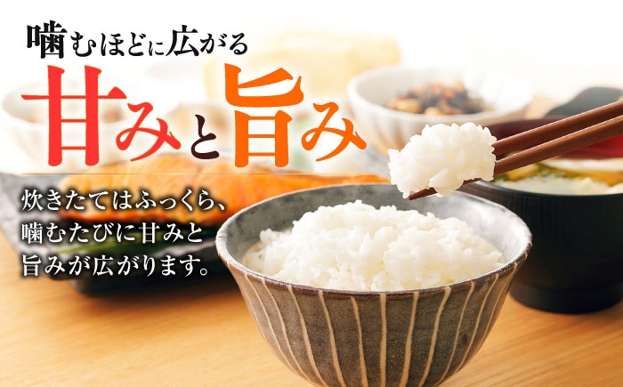 【全6回定期便】 くまさんの輝き 白米 10kg 計60kg