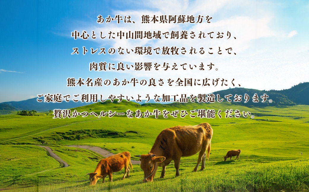 あか牛ハンバーグ パテ 約1kg